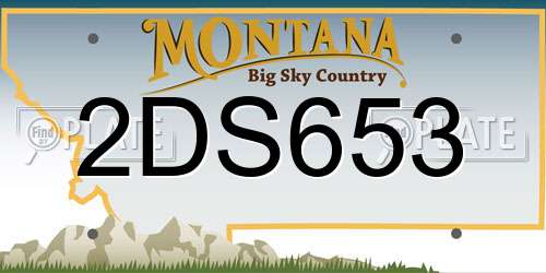 2DS653 Montana License Plate