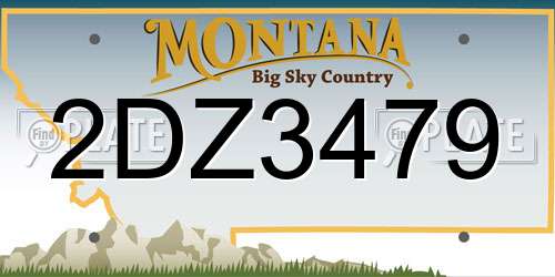 2DZ3479 Montana License Plate
