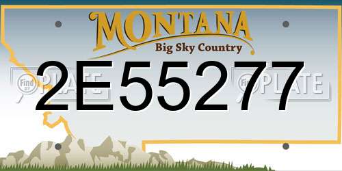 2E55277 Montana License Plate