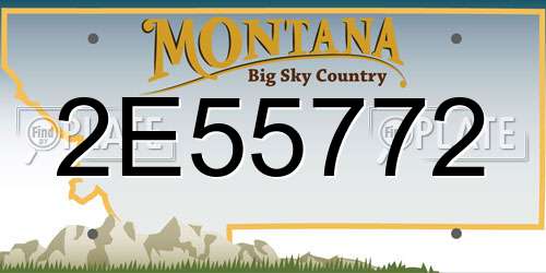 2E55772 Montana License Plate