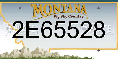 2E65528 Montana License Plate