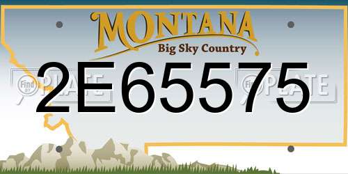 2E65575 Montana License Plate