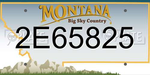2E65825 Montana License Plate