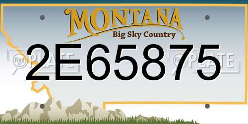 2E65875 Montana License Plate