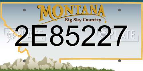 2E85227 Montana License Plate