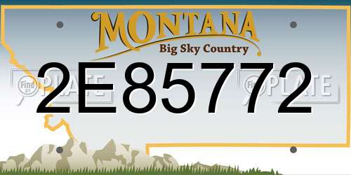 2E85772 Montana License Plate