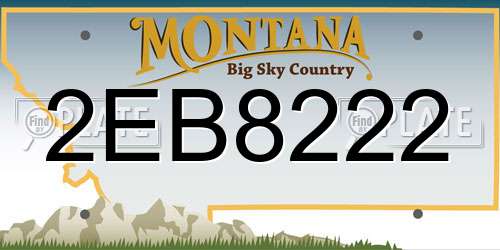 2EB8222 Montana License Plate