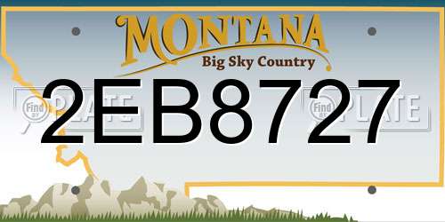 2EB8727 Montana License Plate