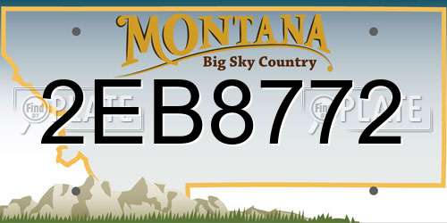 2EB8772 Montana License Plate