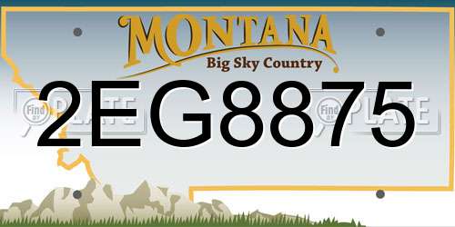 2EG8875 Montana License Plate