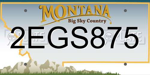 2EGS875 Montana License Plate