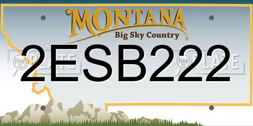 2ESB222 Montana License Plate