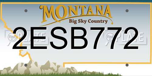 2ESB772 Montana License Plate