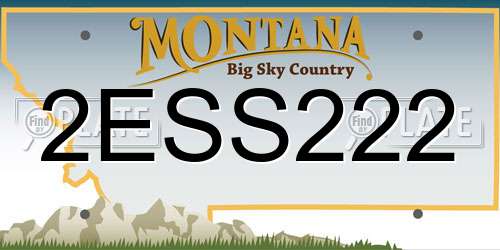 2ESS222 Montana License Plate