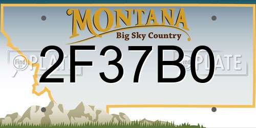 2F37B0 Montana License Plate