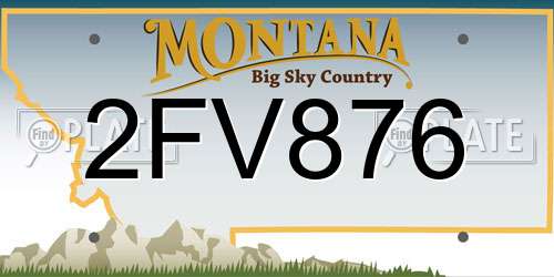 2FV876 Montana License Plate
