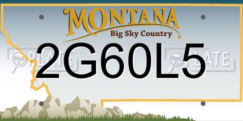 2G60L5 Montana License Plate