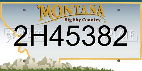 2H45382 Montana License Plate
