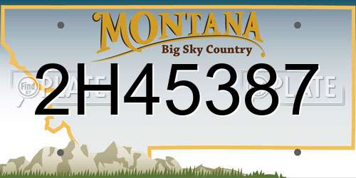 2H45387 Montana License Plate