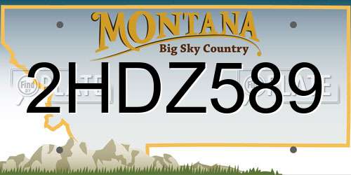 2HDZ589 Montana License Plate
