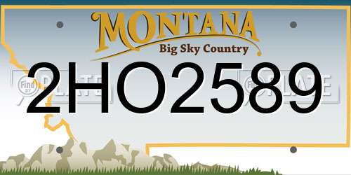 2HO2589 Montana License Plate