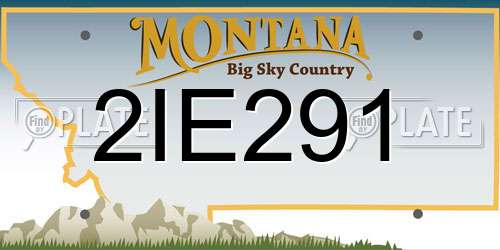 2IE291 Montana License Plate