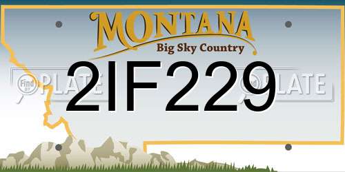 2IF229 Montana License Plate