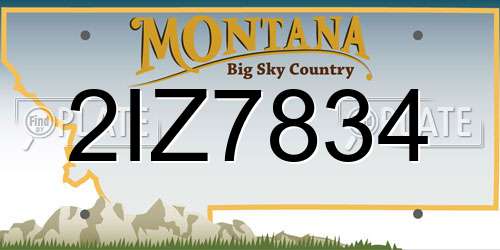 2IZ7834 Montana License Plate