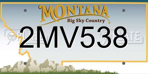 2MV538 Montana License Plate