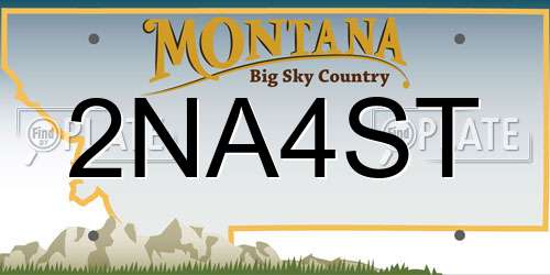 2NA4ST Montana License Plate
