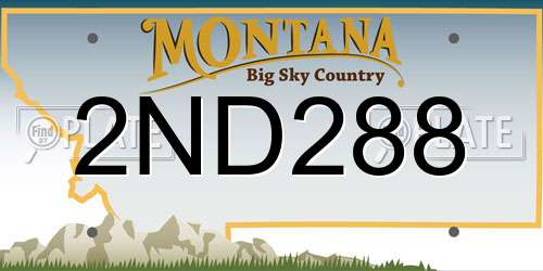 2ND288 Montana License Plate