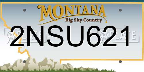 2NSU621 Montana License Plate