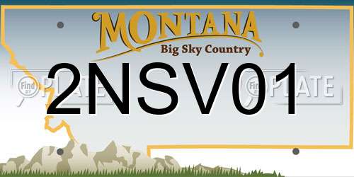 2NSV01 Montana License Plate