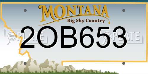 2OB653 Montana License Plate