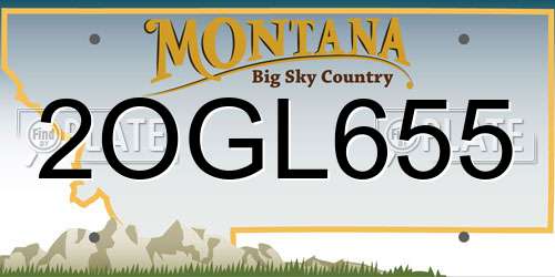2OGL655 Montana License Plate