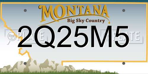 2Q25M5 Montana License Plate