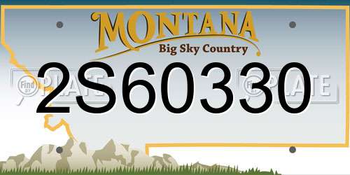 2S60330 Montana License Plate