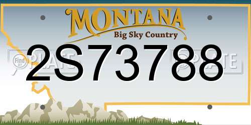 2S73788 Montana License Plate