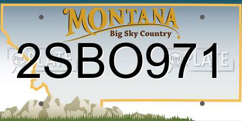2SBO971 Montana License Plate