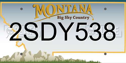 2SDY538 Montana License Plate