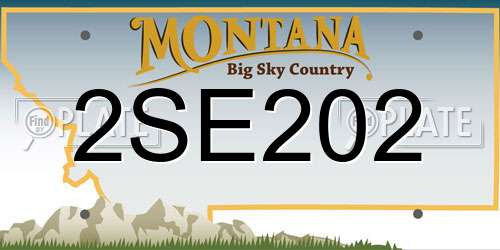 2SE202 Montana License Plate