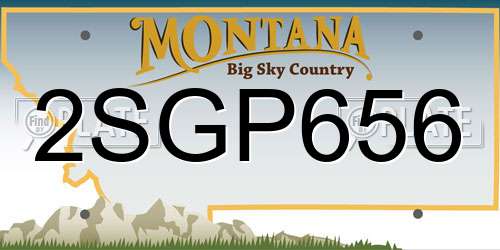 2SGP656 Montana License Plate