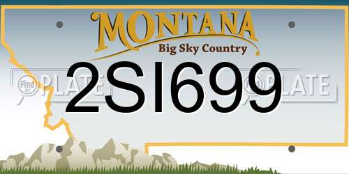 2SI699 Montana License Plate