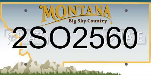 2SO2560 Montana License Plate