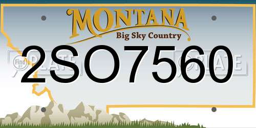2SO7560 Montana License Plate