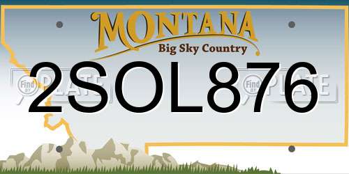 2SOL876 Montana License Plate