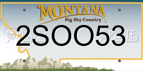2SOO53 Montana License Plate