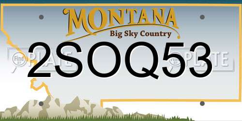 2SOQ53 Montana License Plate