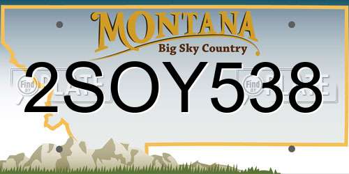 2SOY538 Montana License Plate