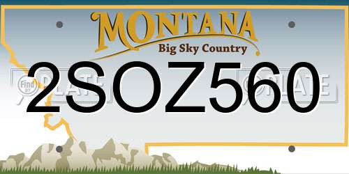 2SOZ560 Montana License Plate